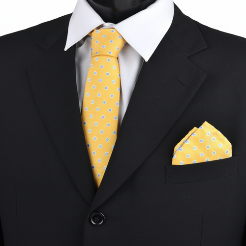 Dotted and Solid Tie with Matching Hanky Box Set - THX12-YW