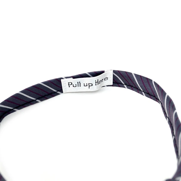 Men's Charcoal Striped Zipper Tie - Pull up Here zipper detail