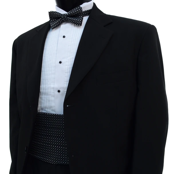 Men's Fancy Neat Matching Cummerbund and Bow Tie Set - lifestyle shot
